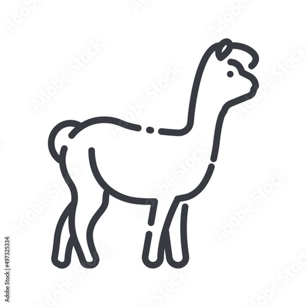 Fototapeta Vector llama line icon isolated on transparent background.