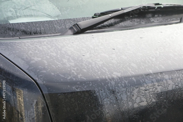 Obraz 霜　ボンネット　乗用車