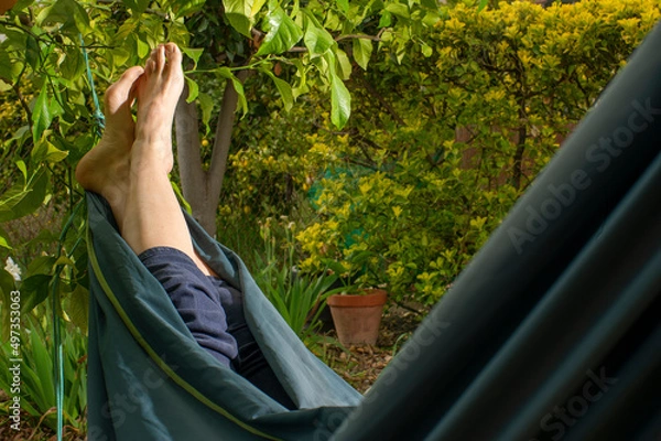 Fototapeta Pies descalzos en hamaca verde colgada en limonero con limones