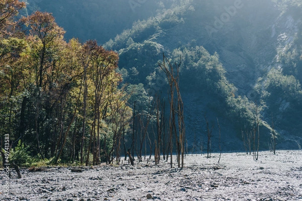 Fototapeta Dead branches on the riverbank of the Wanda North Fork Hot Spring, Taiwan