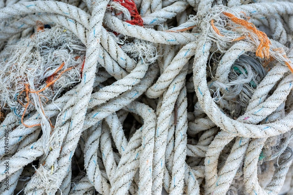 Fototapeta ロープ