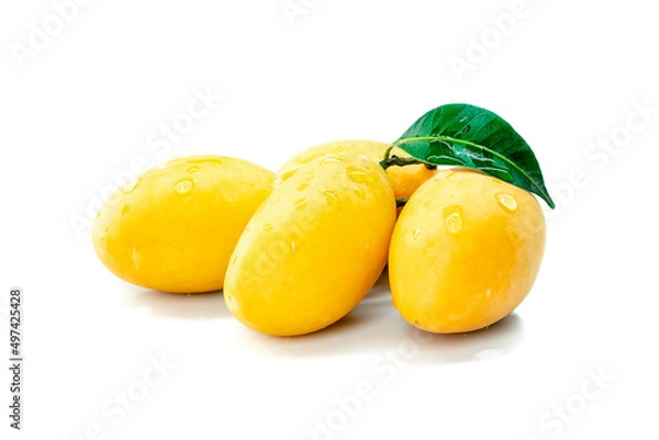 Fototapeta Marian Plum, Plum Mango, yellow fresh fruit and green leaf. Summer fruit with a sweet and sour taste. isolated on white background.