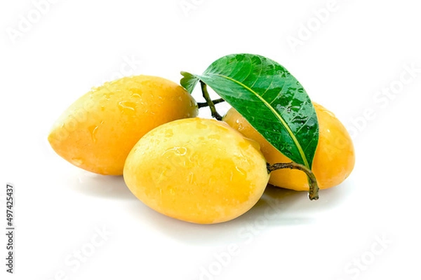 Fototapeta Marian Plum, Plum Mango, yellow fresh fruit and green leaf. Summer fruit with a sweet and sour taste. isolated on white background.