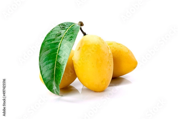Fototapeta Marian Plum, Plum Mango, yellow fresh fruit and green leaf. Summer fruit with a sweet and sour taste. isolated on white background.