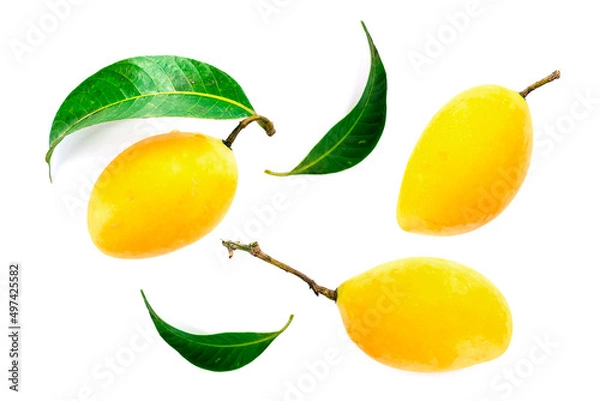 Fototapeta Marian Plum, Plum Mango, yellow fresh fruit and green leaf. Summer fruit with a sweet and sour taste. isolated on white background.