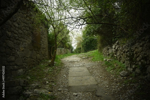 Obraz Path in nature