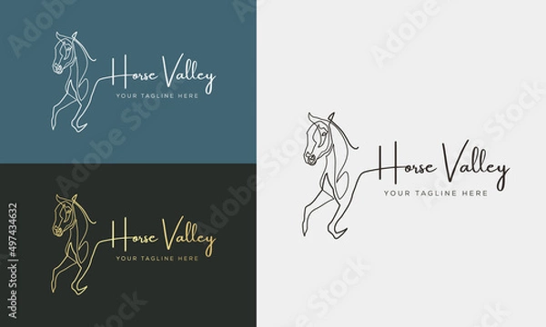 Obraz Horse logo icon linear style. Vector logo design Templates