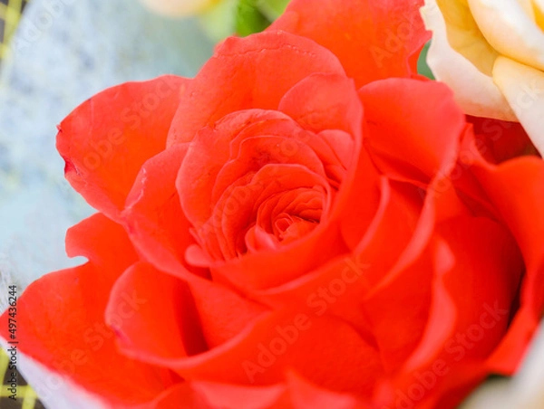 Obraz フラワーアレンジメント