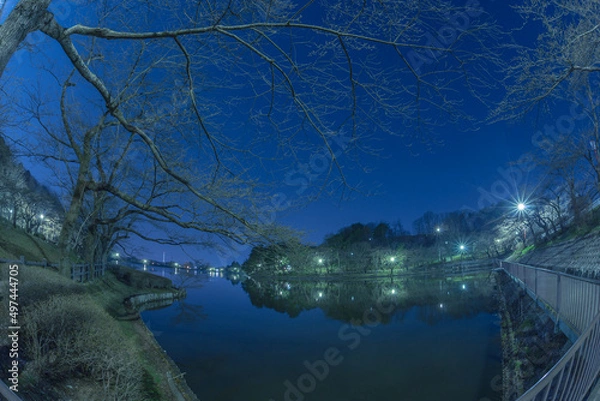 Obraz 高松の池（夜景）