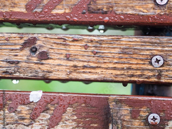 Fototapeta ベンチの背もたれと桜の花びら