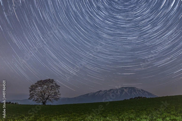 Obraz 小岩井一本桜