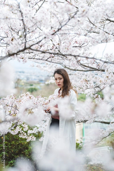 Fototapeta 満開の桜とクールな女性