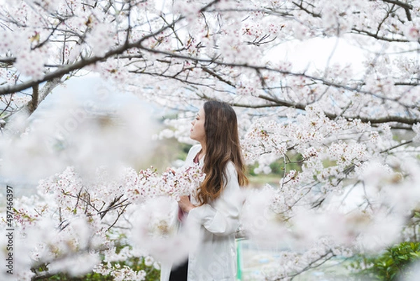 Fototapeta 満開の桜とクールな女性