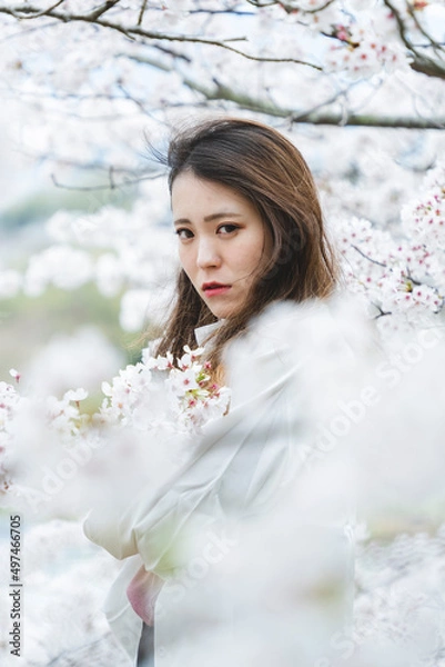 Fototapeta 桜の花を見ながら散策する女性