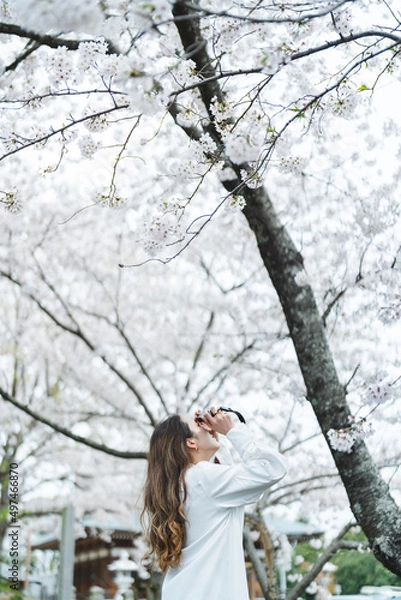 Fototapeta 桜の花を見ながら散策する女性