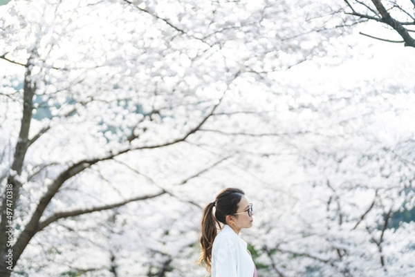 Fototapeta 桜の花を見る眼鏡をかけた女性