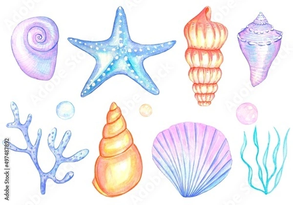 Obraz Watercolor set of seashells isolated on white background