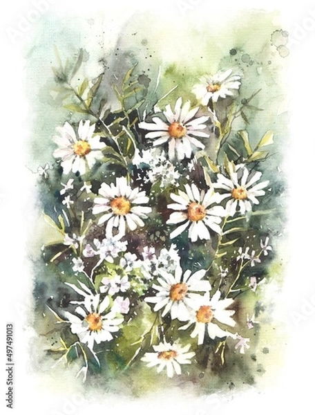 Fototapeta Flower arrangement of daisies. Bouquet of daisies hand-drawn in watercolor. cute realistic spring-summer painting illustration. Use for printing postcards, posters and invitations.