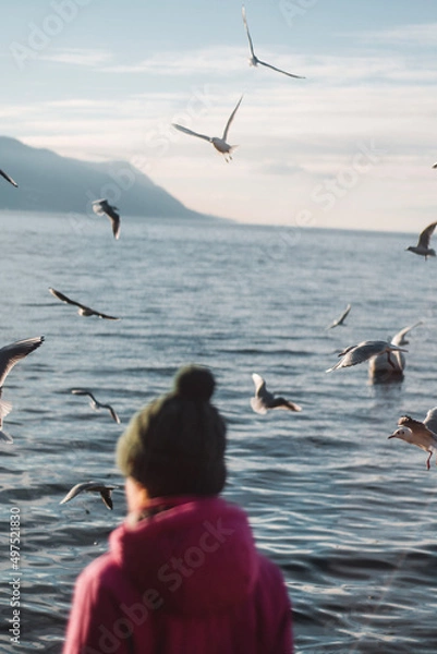 Obraz seagulls on the beach