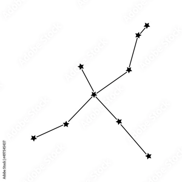 Obraz constellation Cygnus on a white background. vector.