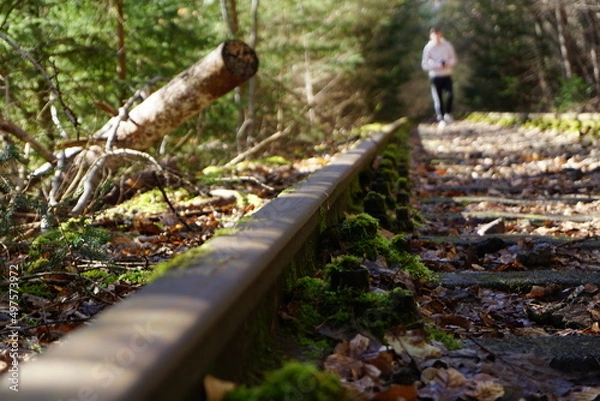 Obraz Alte bahn strecke