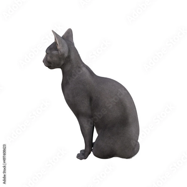 Obraz Sphynx cat isolated on white background. 3d rendering-illustration.