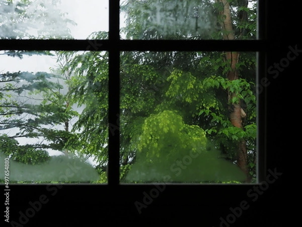 Obraz 窓から雨が降る森を眺める（横）