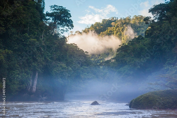 Fototapeta Jungle of the Peruvian Amazon. Fog and sunset light