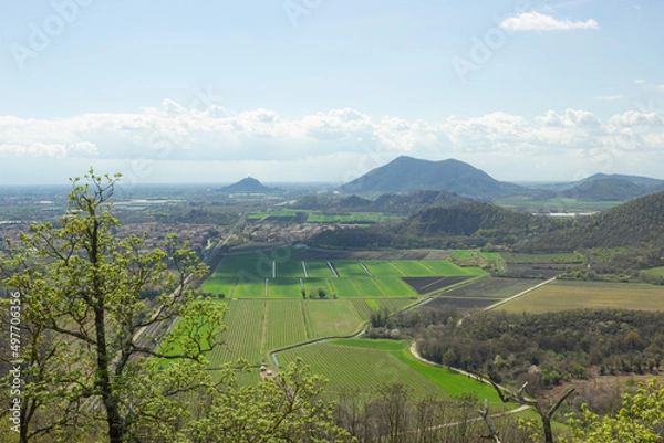 Obraz Hilly landscape. Trail on Monte Ceva. Aerial view of the Terme Euganee, Padua and the cultivated fields. Green spring landscape.