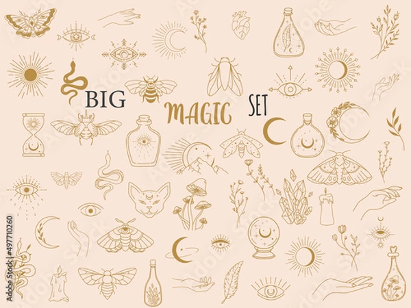 Fototapeta Vector witch magic design elements set. Hand drawn, doodle, sketch magician collection. Witchcraft symbols. Perfect for tattoo, textile, cards, mystery