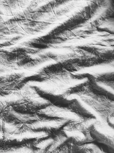 Obraz Close-up texture, background image