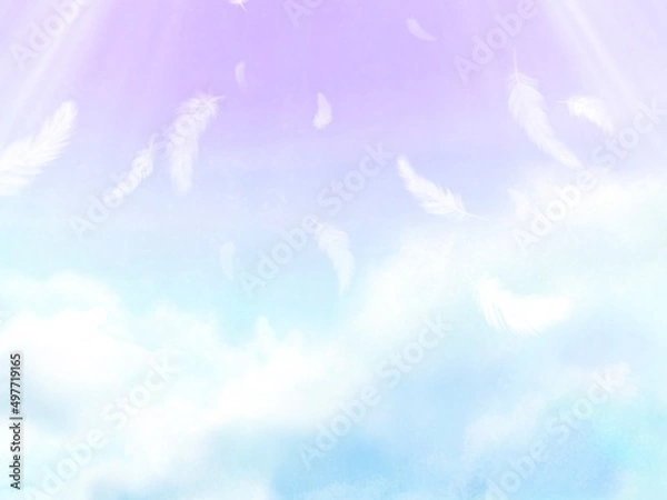 Fototapeta 空に舞う天使の羽　天国のイメージ背景素材