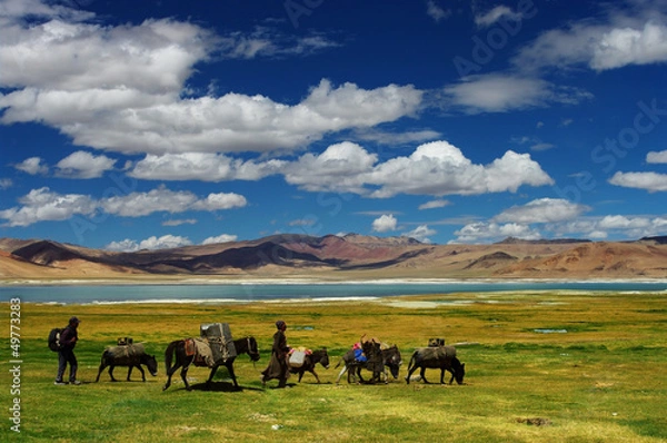 Obraz Nomad Life