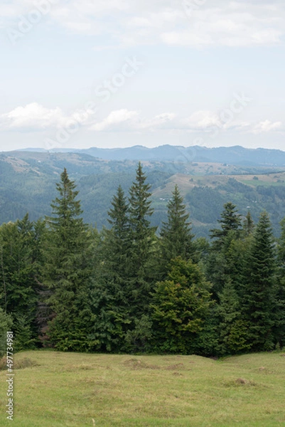 Fototapeta Magnetic view on Carpathian Mountains from the top of the hill