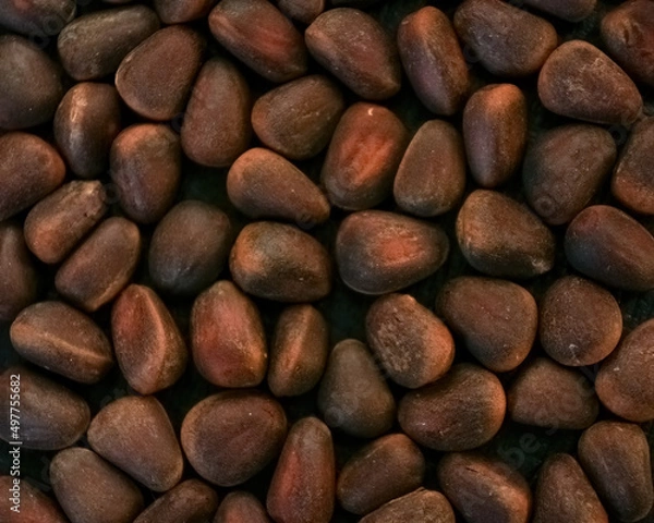 Fototapeta Cedar pine nuts background, in shells, not peeled, Close-up, macro