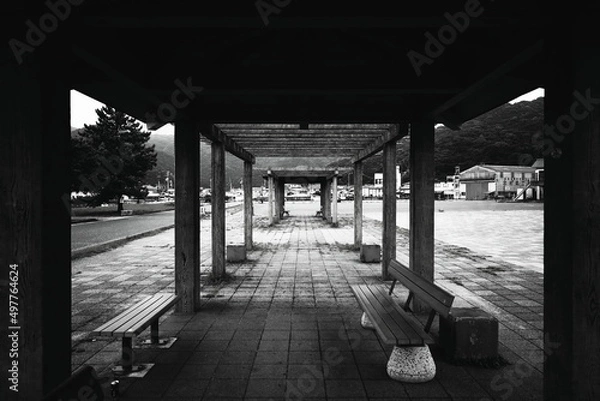 Obraz シンメトリー