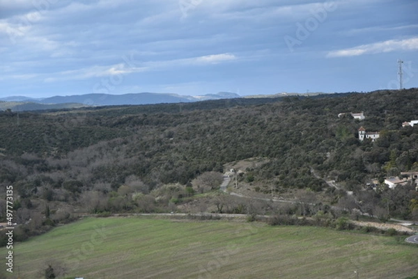 Obraz Forêts dans les nuages