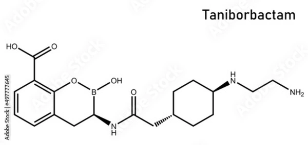 Fototapeta VNRX-5133 (taniborbactam) is a new cyclic boronate BLI that is in clinical development combined with cefepime for the treatment of infections caused by β-lactamase-producing CRE and CRPA.