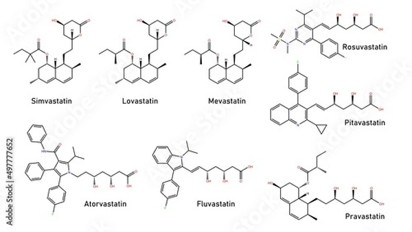 Fototapeta Statins - Chemical Structures. Simvastatin, Lovastatin, Mevastatin, Rosuvastatin, pitavastatin, pravastatin, Atorvastatin, Fluvastatin