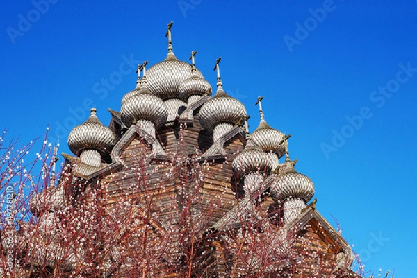 Fototapeta wooden domes of the Intercession Cathedral and blooming mimosa branches against the blue sky