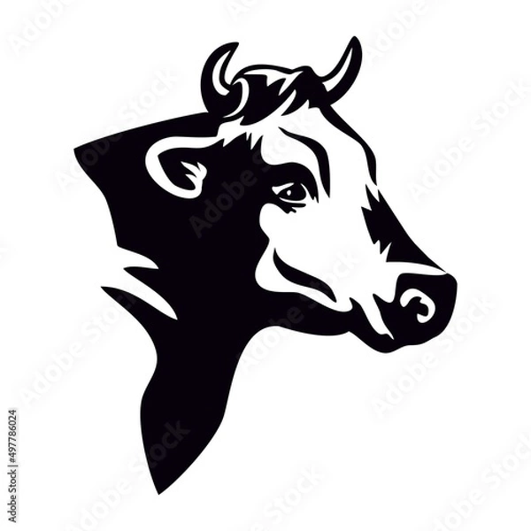 Fototapeta Cow. The head of a Holstein cattle on a white background. Agricultural animal. Sketch for the printing house.