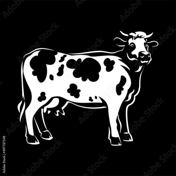 Fototapeta Cow on a black background. Animal husbandry, cattle breeding. Farm product. Natural milk, butter, yogurt.