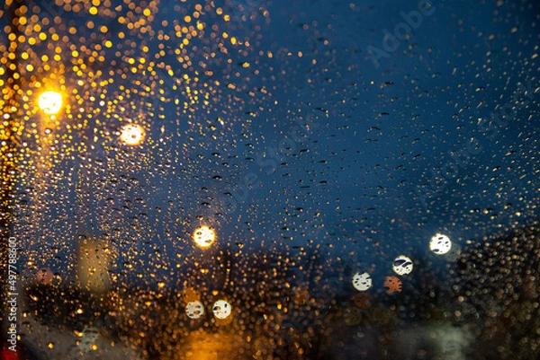 Obraz water drops on the window