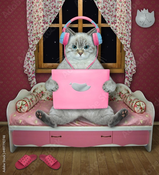 Fototapeta An ashen cat in earphones sits and works with a pink laptop in a sofa near a window at home.