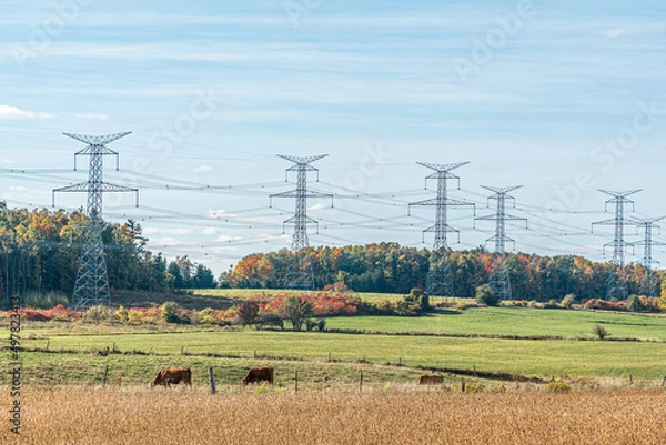 Obraz High voltage lines