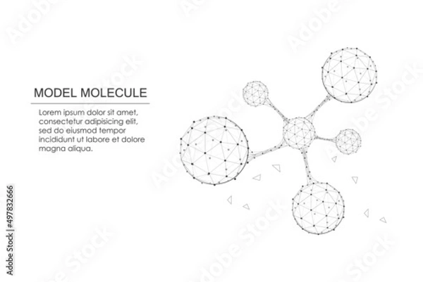 Obraz Model molecule with low poly wireframe on isolated white illustration