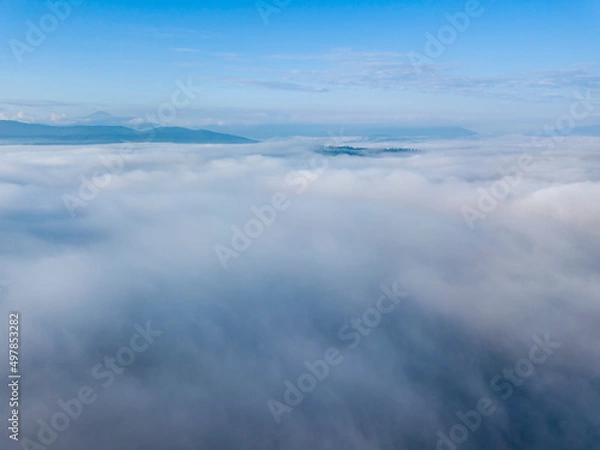 Fototapeta Morning fog in the Ukrainian Carpathians. Aerial drone view.
