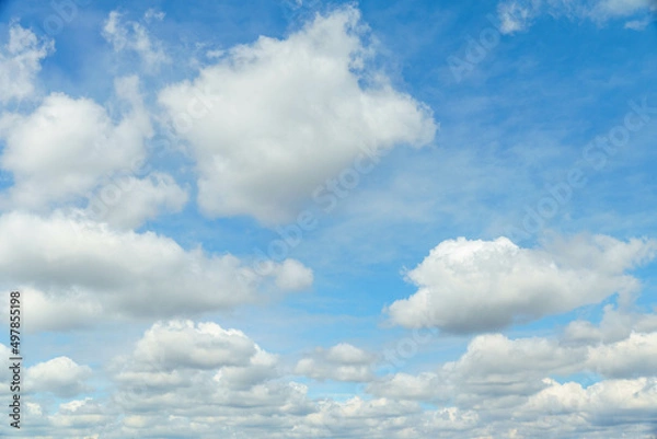 Fototapeta 青空にフワフワとした白い雲