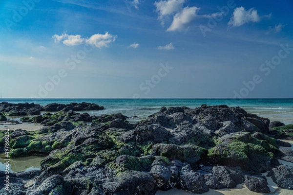 Obraz 제주도 바다 풍경