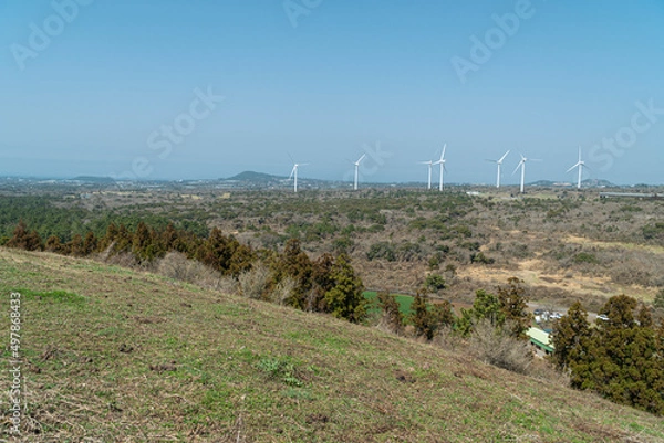 Obraz 제주도 자연 풍경